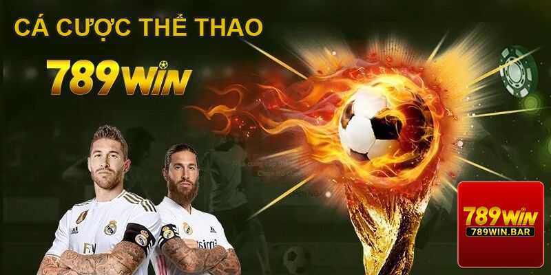 Cá cược thể thao tại 789win